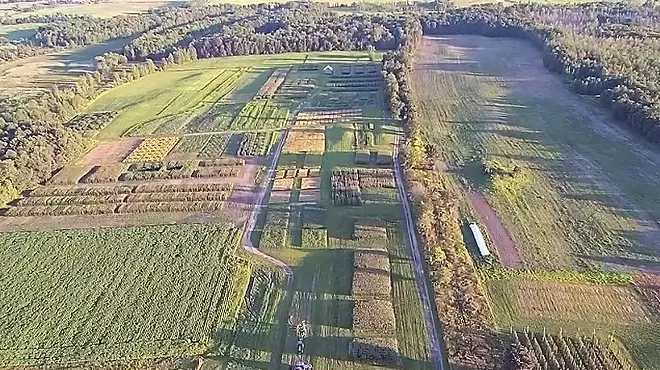 Image: Crops & Soils Field Day