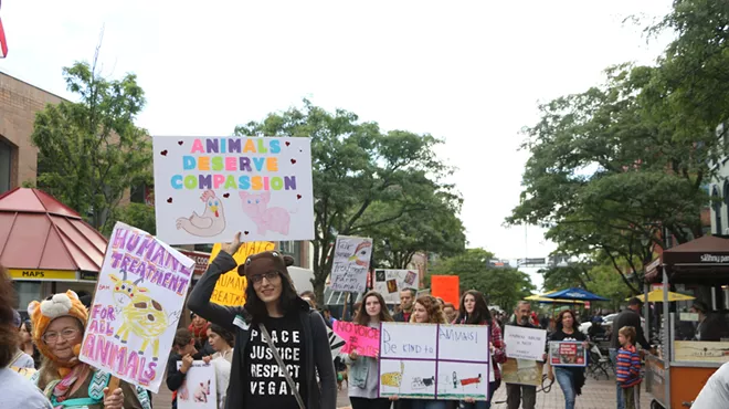 Image: Walk for All Animals
