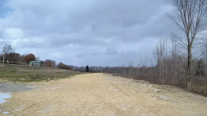 Image: Cleared for Takeoff? Airstrip Proposal Rattles North Hero Residents