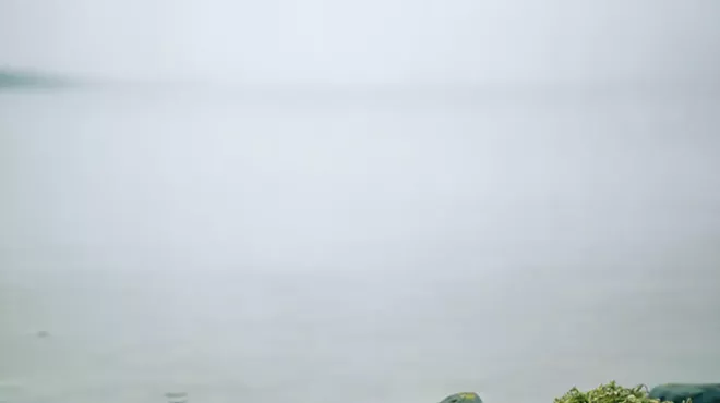 Image: 'Exploring Water'