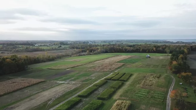 Image: Crops & Soils Field Day