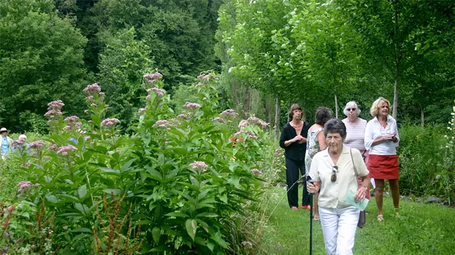 Image: Waitsfield Garden Tour
