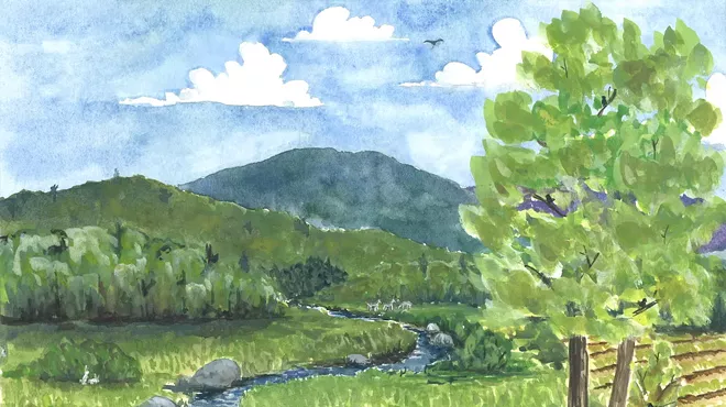 Image: Caring for Our Home Grounds: A Commons Conservation Congress for Vermont's Center-West Ecoregion
