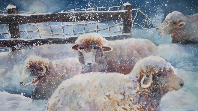 Image: Kate Reeves
