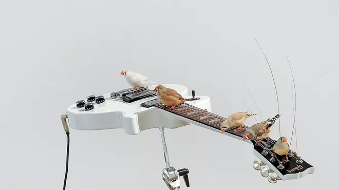 Image: C&eacute;leste Boursier-Mougenot