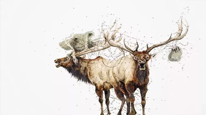 Image: 'What Have We Done?'