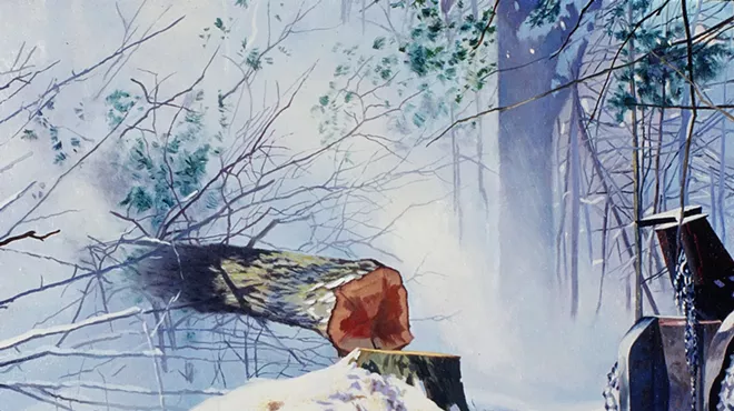 Image: 'Shedding Light on the Working Forest'