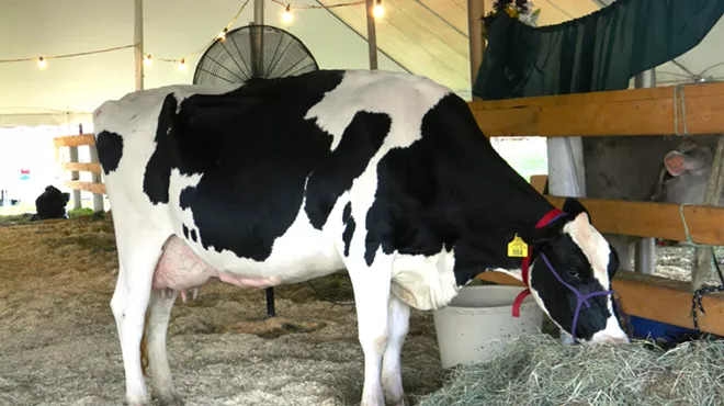 Image: Addison County Fair & Field Days