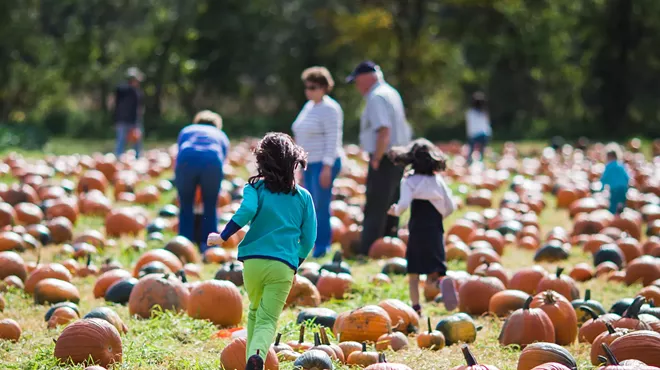 Image: Pumpkin Festival