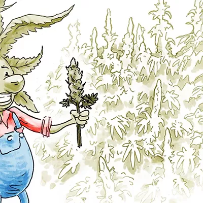 Image: Vermont Senate Sends Marijuana Legalization Bill to Governor