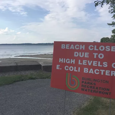 Image: High E. Coli Levels Force Closures at Two Burlington Beaches