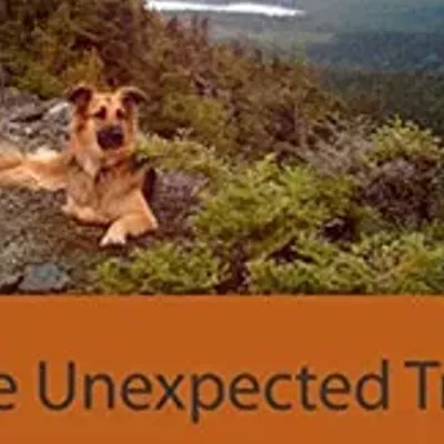 Image: The First 50 Pages: The Unexpected Trail