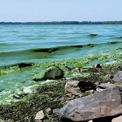 Image: Blue-Green Algae Closes Two Burlington Beaches