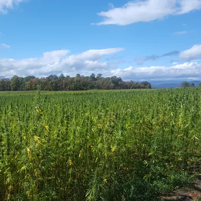 Image: Vermont Hemp Company and Grower Agree to Settle Lawsuit