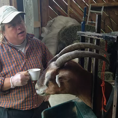 Image: Seconds of Summer: Goat Appreciation at Green Mountain Girls Farm