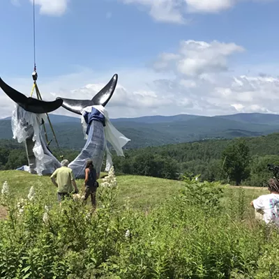 Image: Whale Tails Return to Randolph