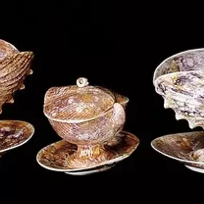 Image: Introducing Special Collections: A Series About Stuff We Love