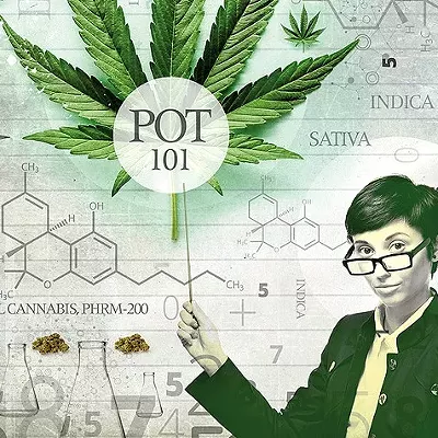Image: UVM Launches Cannabis Speaker Series Online