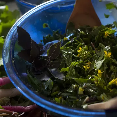 Image: Farmers Market Kitchen: Italian Kale Salad