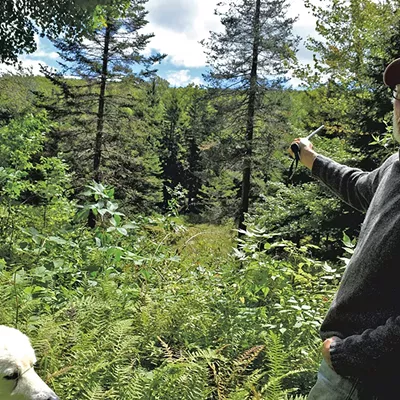 Image: Wind Developer Woos Windham With More Money, Fewer Turbines