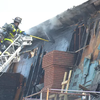 Image: Animal, Plant Collections Survive Fire at UVM's Historic Torrey Hall