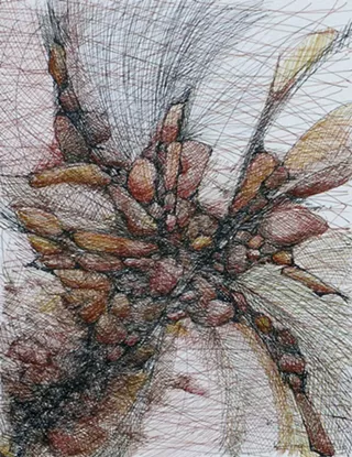 Image: 'Looking North: Catamount Artists Connect'