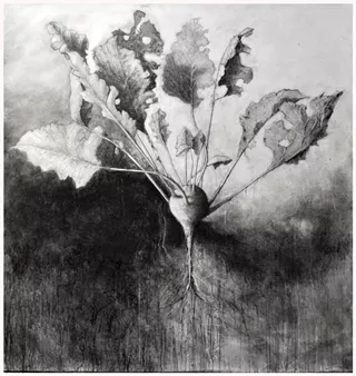 Image: Leonard Ragouzeos