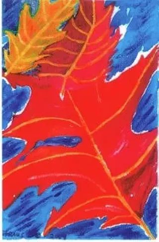 Image: Yvonne Straus