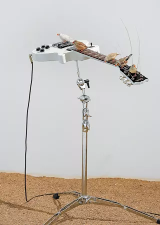 Image: C&eacute;leste Boursier-Mougenot