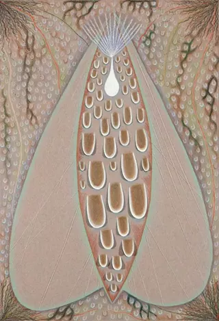 Image: Marcy Hermansader