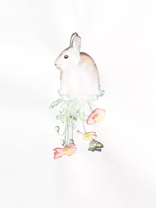 Image: Amy Ross