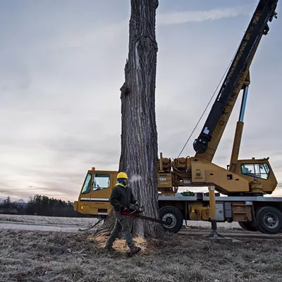 Image: Shelburne Farms' Poplar Drive