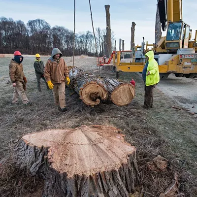 Image: Shelburne Farms' Poplar Drive