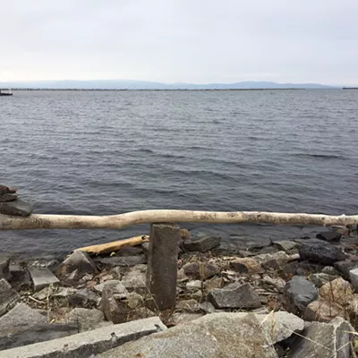 Image: Natural Artwork on the Burlington Waterfront