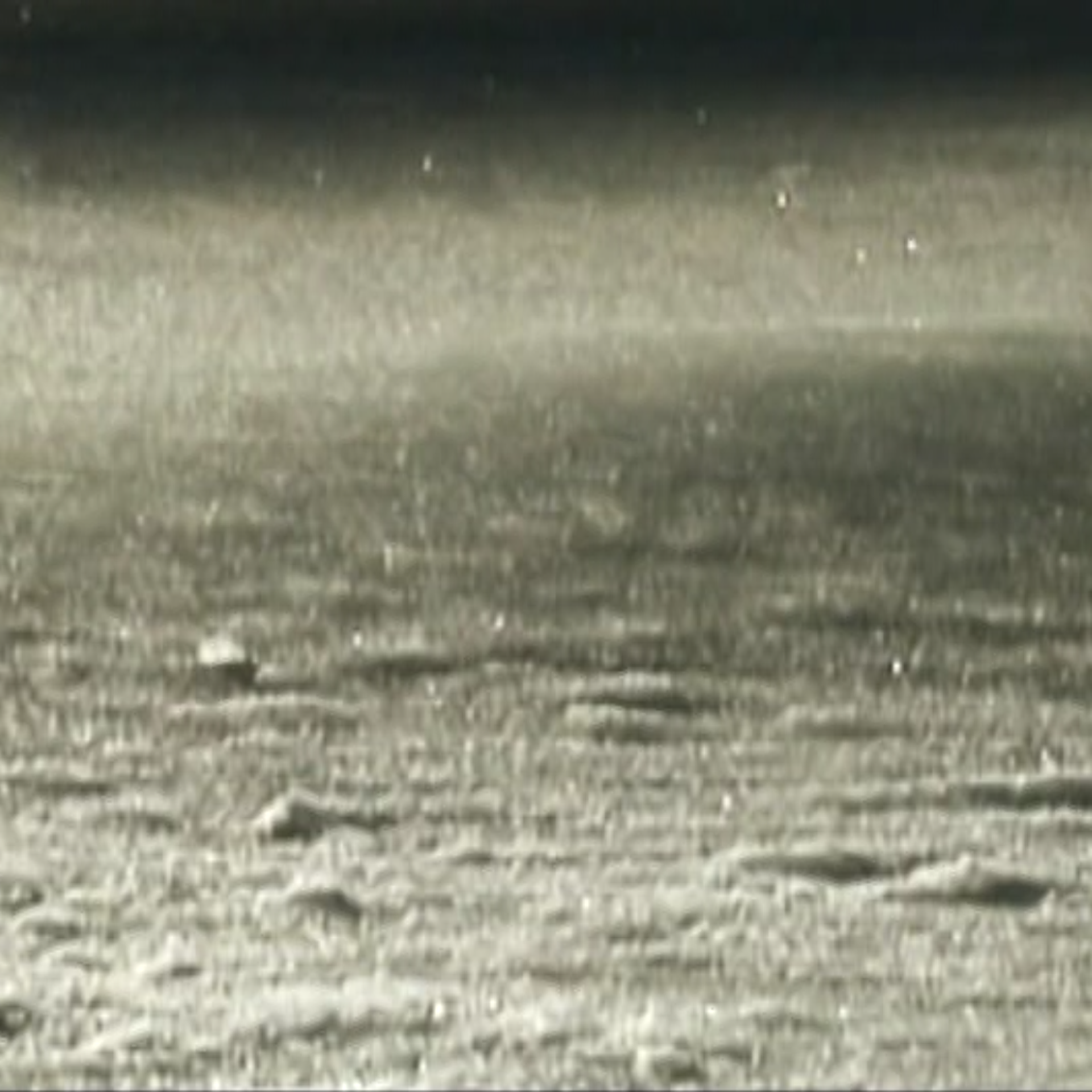 Video still from "A Fragile Force"