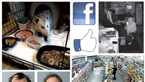 A rescued opossum, mugshots and photos of crimes in progress from the South Burlington Police Department's Facebook page