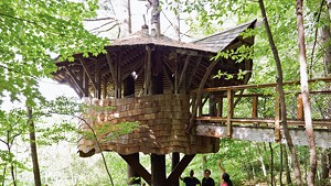 A tree house on the Yestermorrow campus