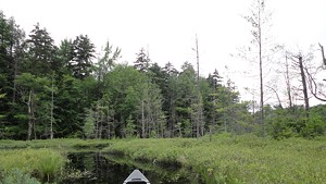 A Writer Follows the Water in Adirondack Park
