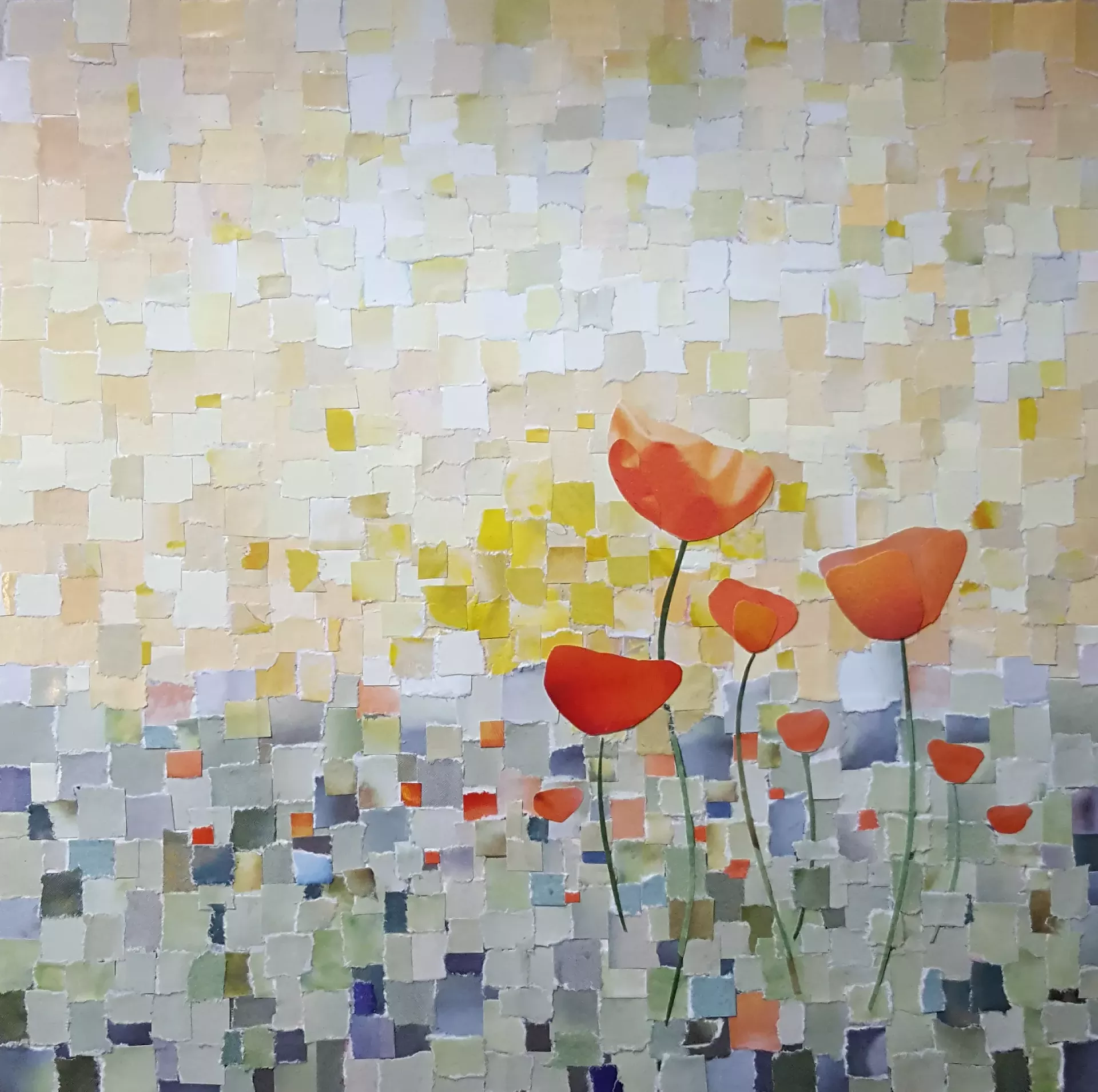 Collage by Amy Jelen
