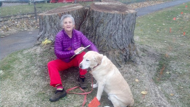 Ann Taylor and her dog by the stump of the tree she tried to save. - MATTHEW ROY