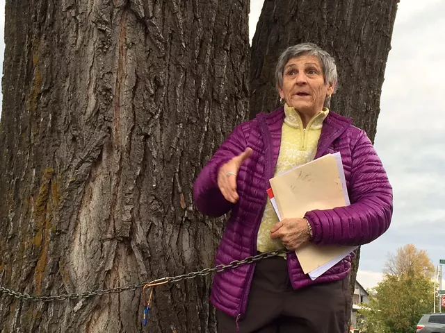 Ann Taylor Wants to Save a Tree