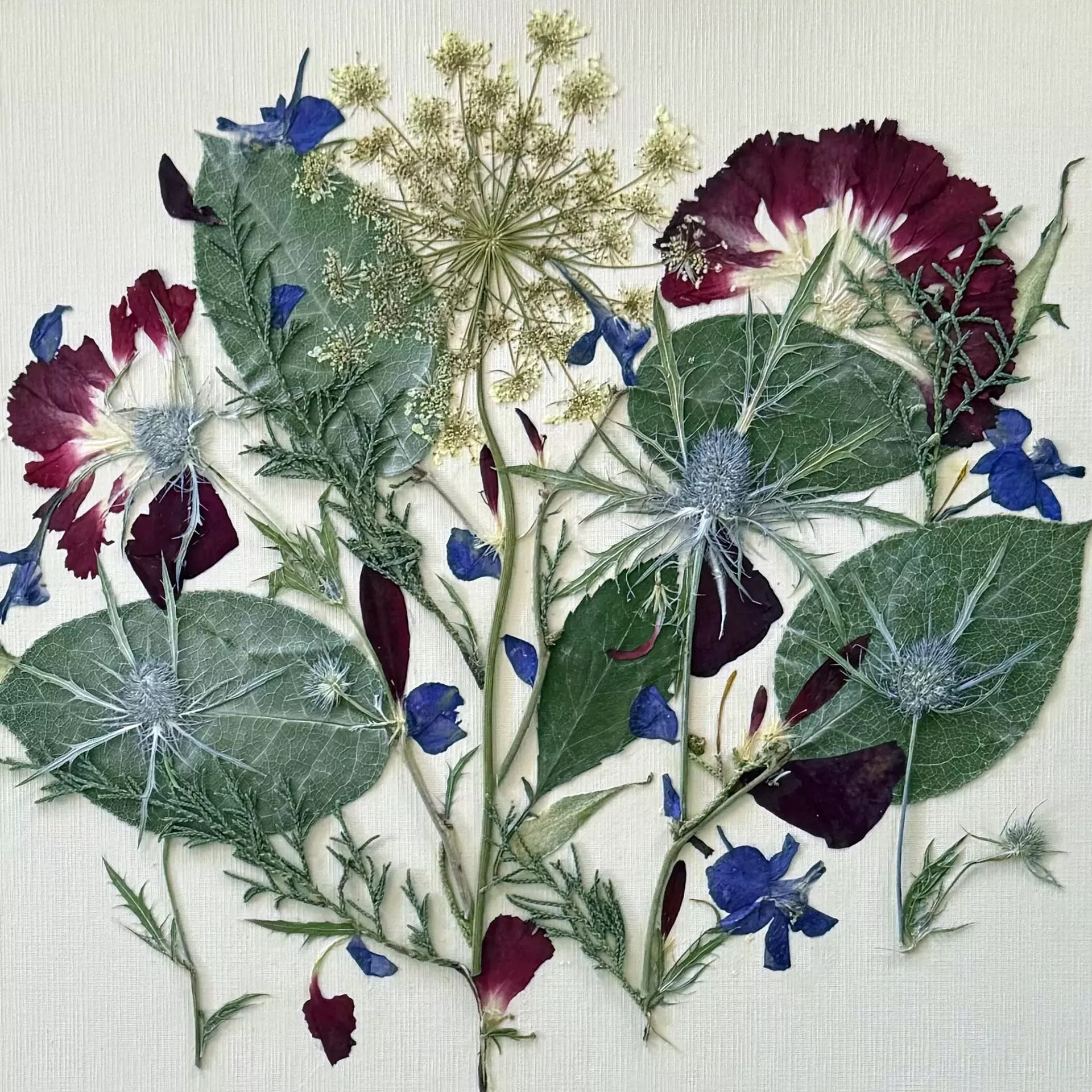 Botanicals by Beth Murphy
