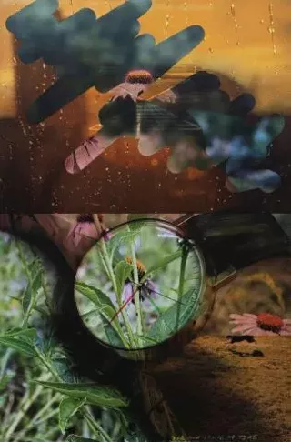Image: Artist Talk: Zach Nader