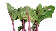Beet the  System