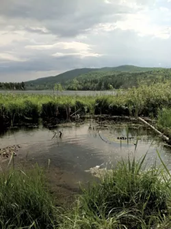 State Won't Ban Recreation on Berlin Pond