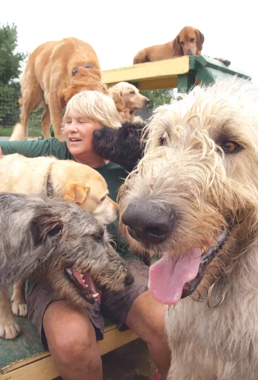 Best pet daycare