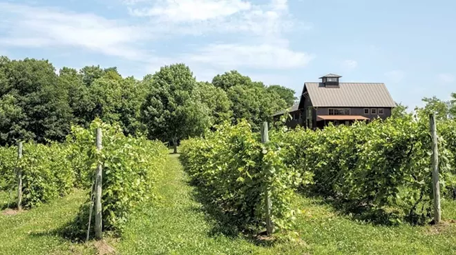 Image: Best winery