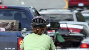 Bike Advocates Ask for Room on the Road