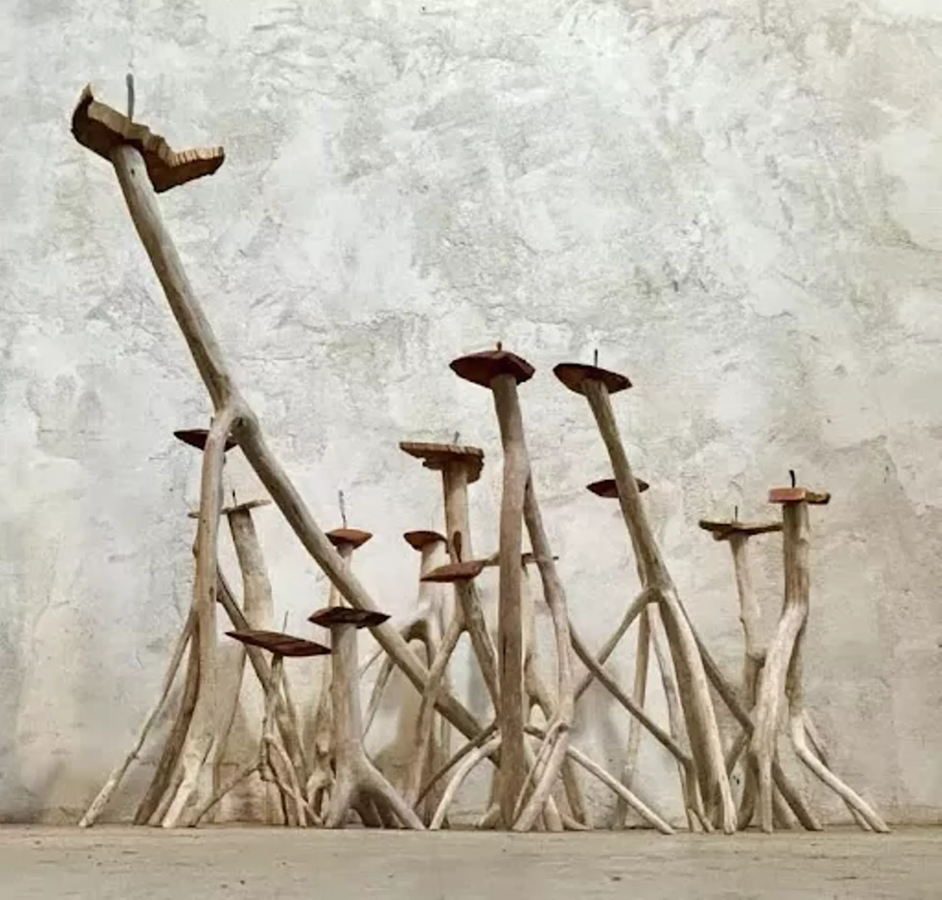 "Flock" by Bill Botzow