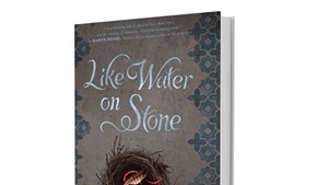 Book Review: Like Water on Stone by Dana Walrath